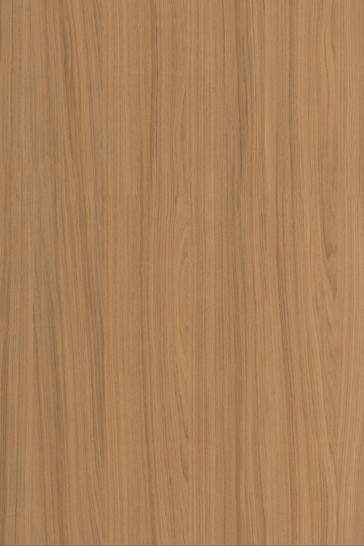 C312 Brunel Oak
