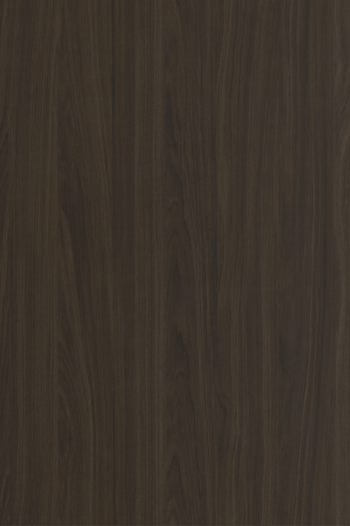 C316 Grey Frost