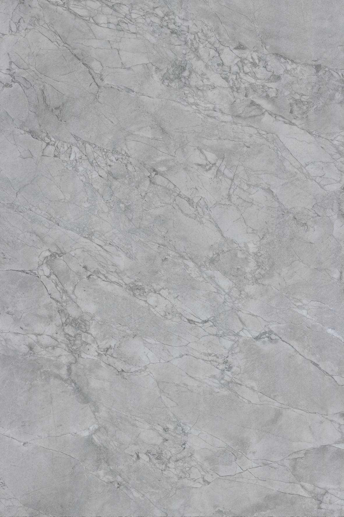 C504 Bis Vein