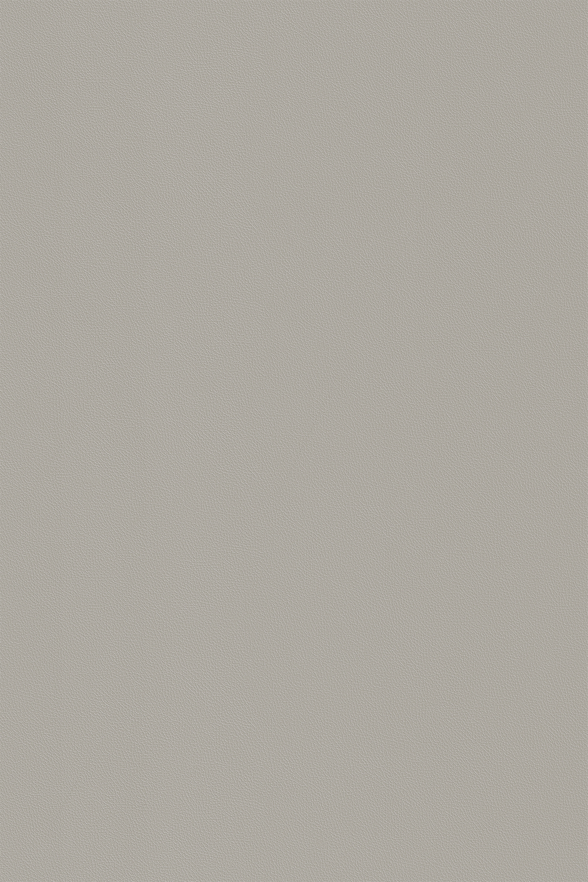 C113 Amber Suede