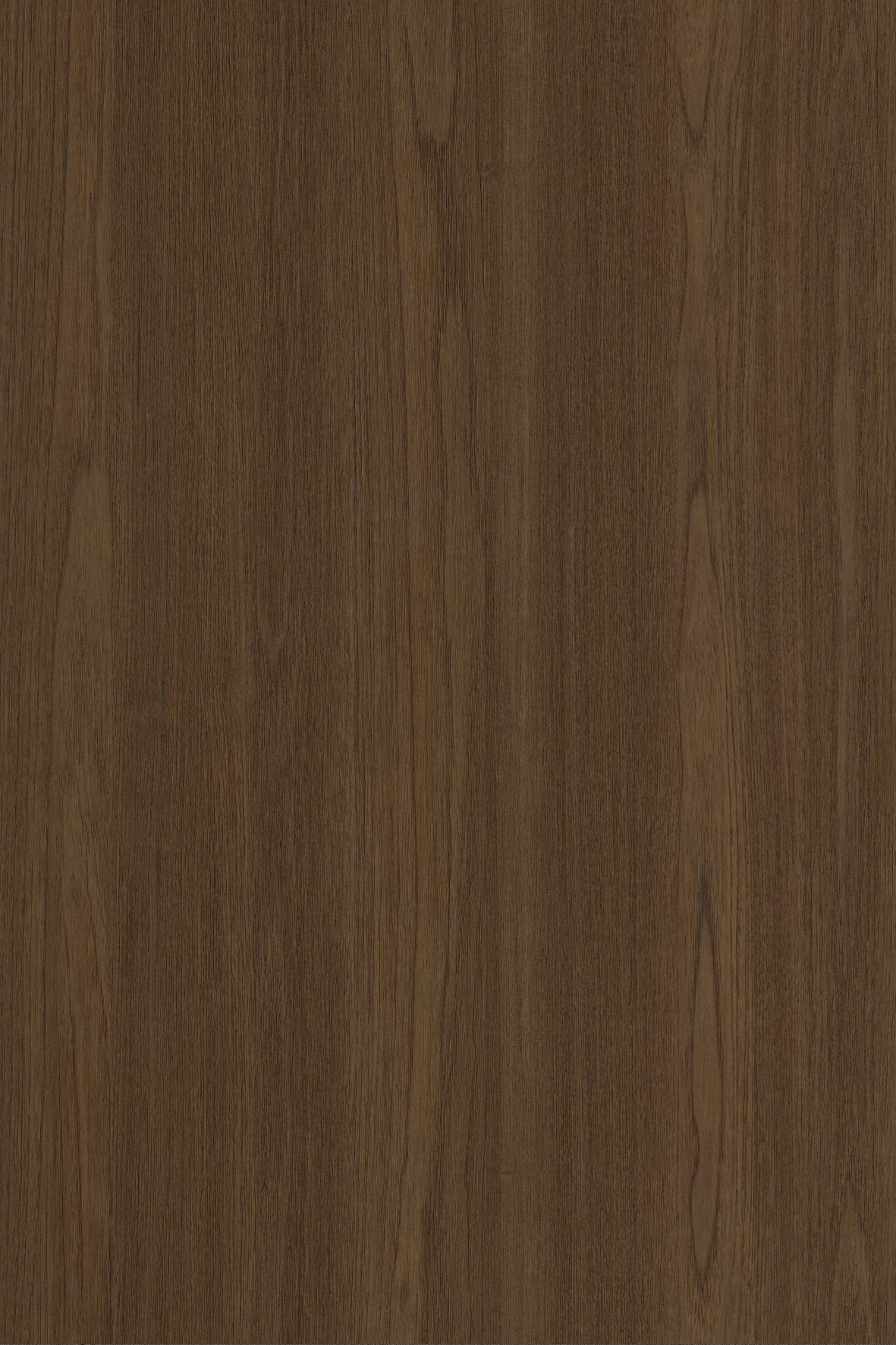 C313 Sion Teak