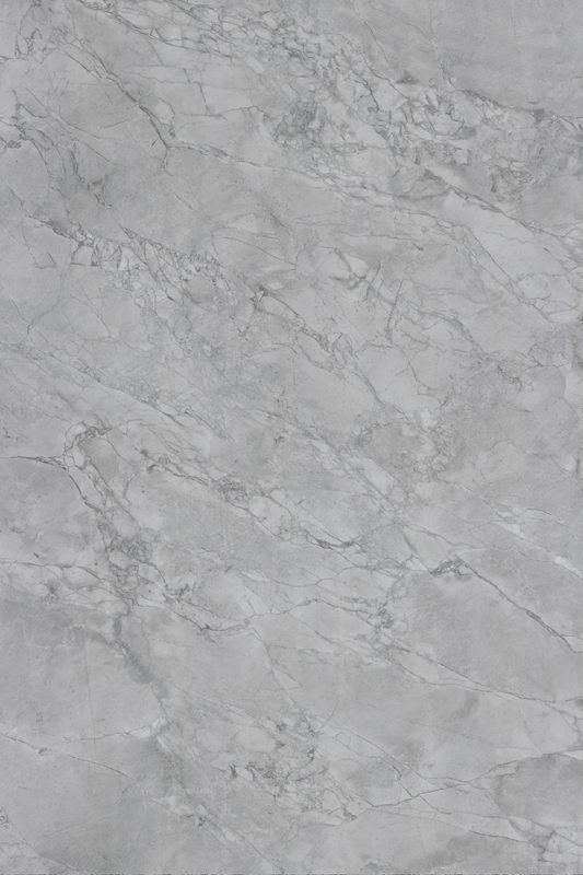 C504 Bis Vein